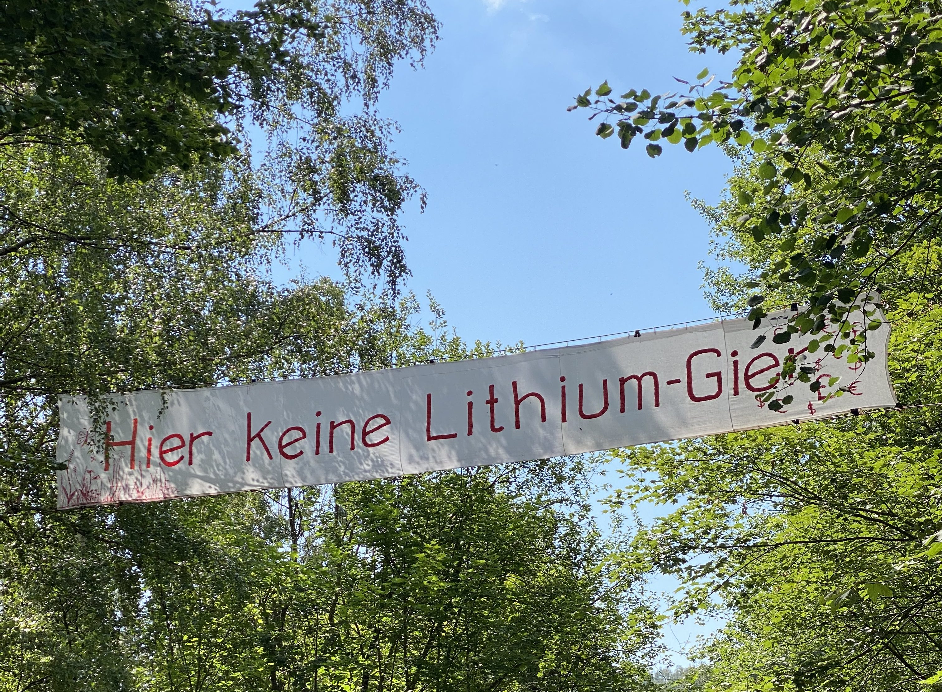 Handwritten banner that says „No lithium greed allowed here", hung between trees.